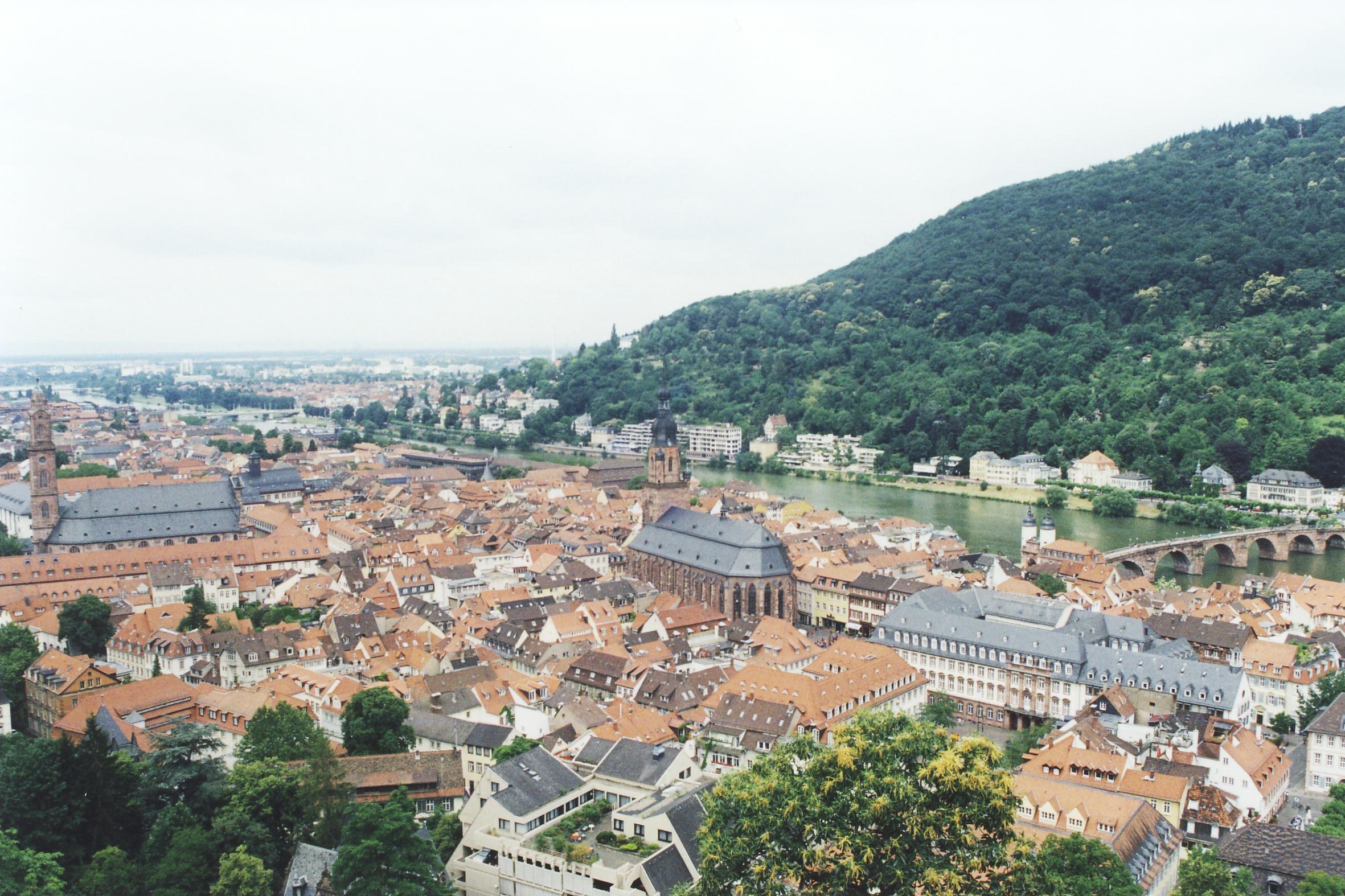 Castle view